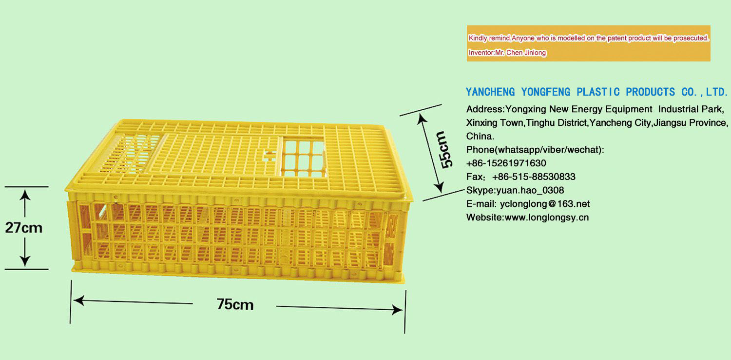 Special&nbsp;Exhibitions